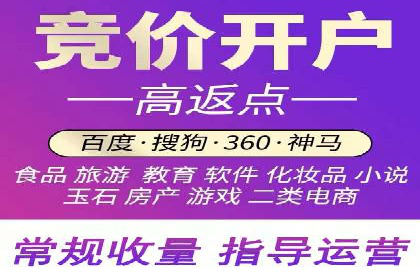 竞价托管SEM的创意与实践：多行业案例集